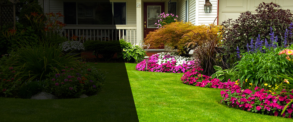 Queen Creek Landscapers