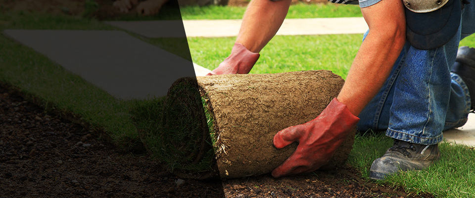 Queen Creek Landscapers